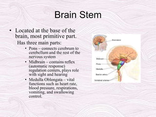 Brain Stem
• Located at the base of the
brain, most primitive part.
Has three main parts:
• Pons – connects cerebrum to
cerebellum and the rest of the
nervous system
• Midbrain – contains reflex
(automatic response)
regulation centers, plays role
with sight and hearing
• Medulla Oblongata – vital
functions such as heart rate,
blood pressure, respirations,
vomiting, and swallowing
control.
 