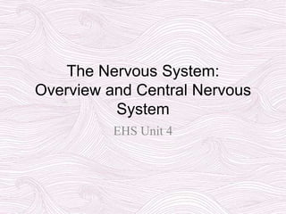The Nervous System:
Overview and Central Nervous
System
EHS Unit 4
 