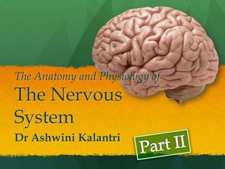 The Anatomy and Physiology of
The Nervous
System
Dr Ashwini Kalantri
 
