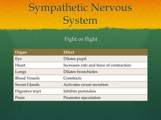 Sympathetic Nervous
             System
                  Fight or flight

Organ             Effect
Eye               Dila...