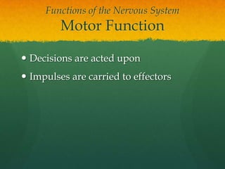 Functions of the Nervous System
         Motor Function

 Decisions are acted upon
 Impulses are carried to effectors
 
