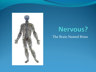 The Brain Named Brian
 