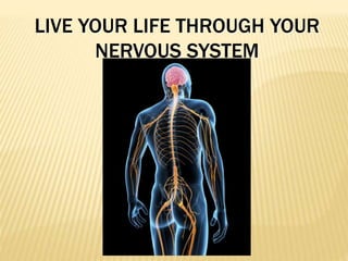 LIVE YOUR LIFE THROUGH YOUR
NERVOUS SYSTEM
 