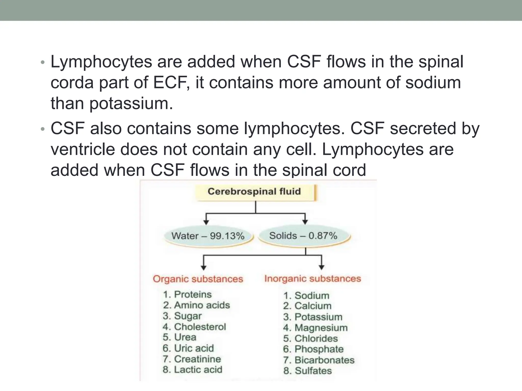 • Lymphocytes are added when CSF flows in the spinal
corda part of ECF, it contains more amount of sodium
than potassium.
• CSF also contains some lymphocytes. CSF secreted by
ventricle does not contain any cell. Lymphocytes are
added when CSF flows in the spinal cord
 
