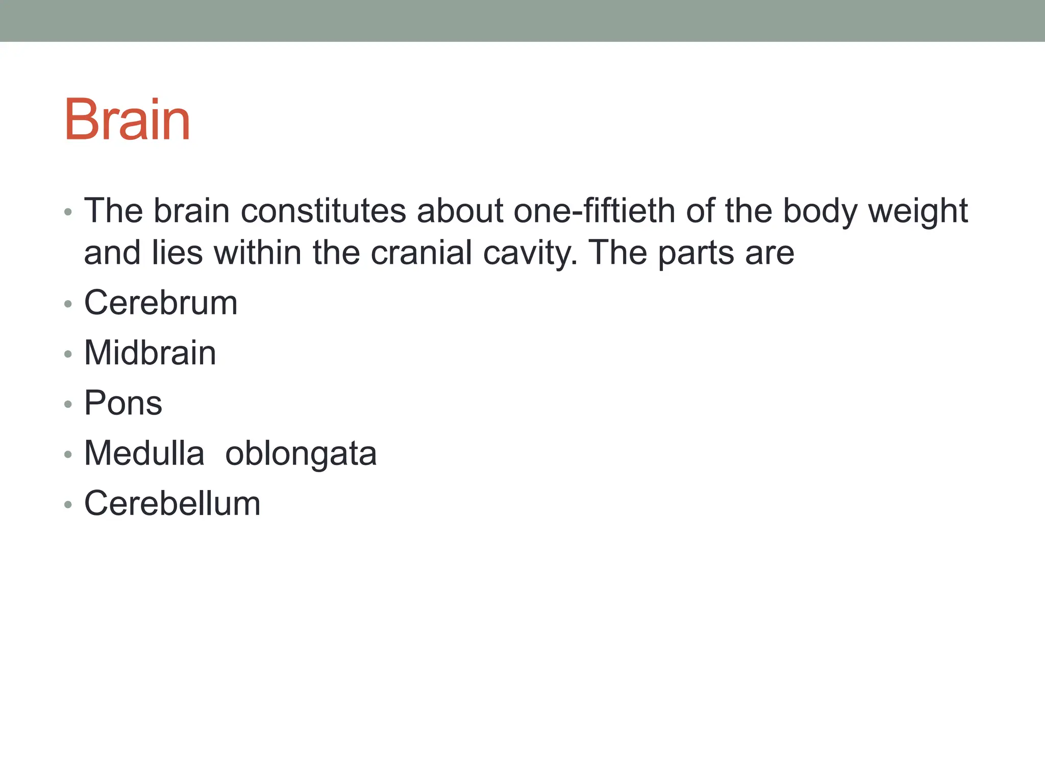 Brain
• The brain constitutes about one-fiftieth of the body weight
and lies within the cranial cavity. The parts are
• Cerebrum
• Midbrain
• Pons
• Medulla oblongata
• Cerebellum
 