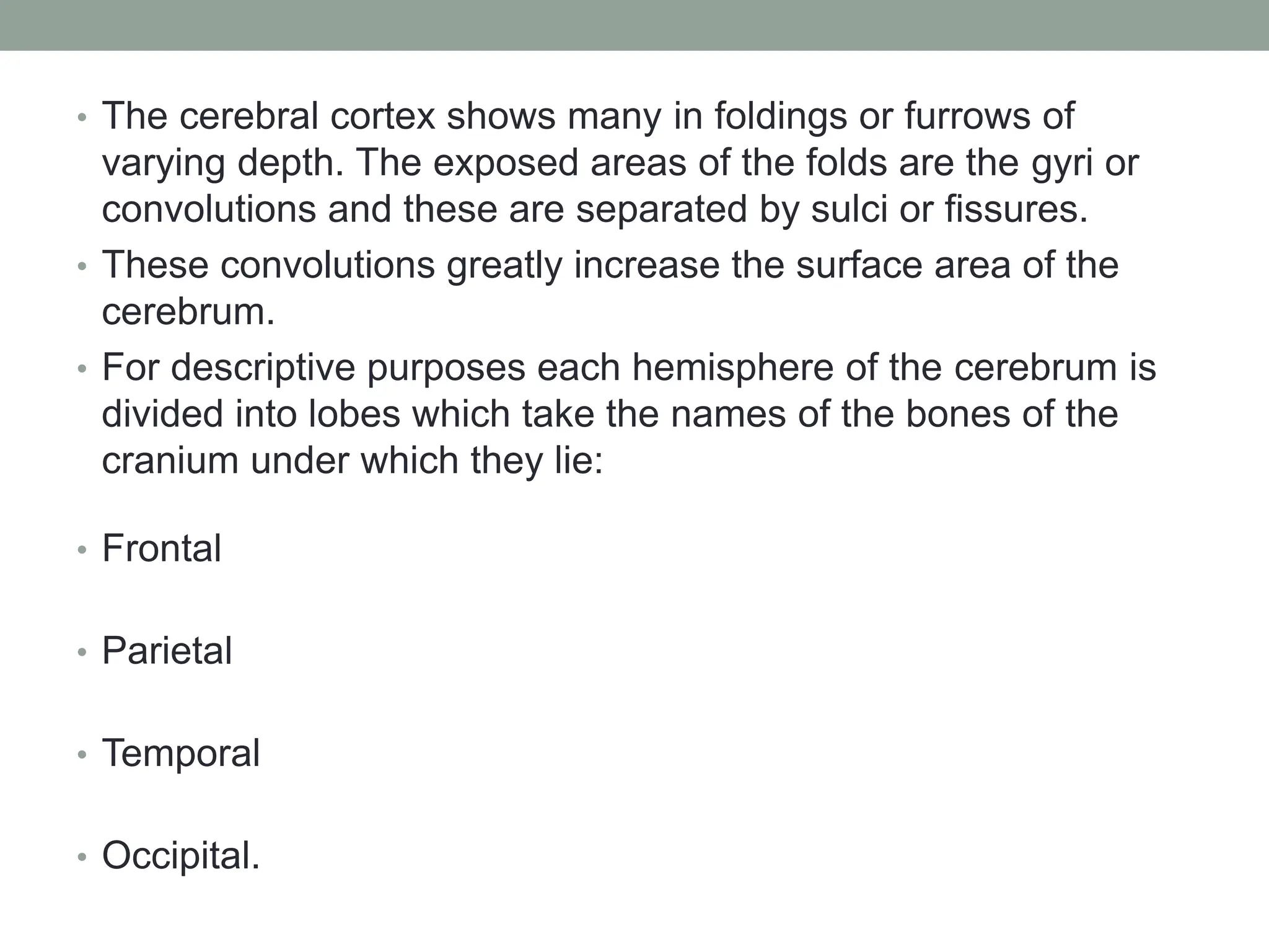 • The cerebral cortex shows many in foldings or furrows of
varying depth. The exposed areas of the folds are the gyri or
convolutions and these are separated by sulci or fissures.
• These convolutions greatly increase the surface area of the
cerebrum.
• For descriptive purposes each hemisphere of the cerebrum is
divided into lobes which take the names of the bones of the
cranium under which they lie:
• Frontal
• Parietal
• Temporal
• Occipital.
 