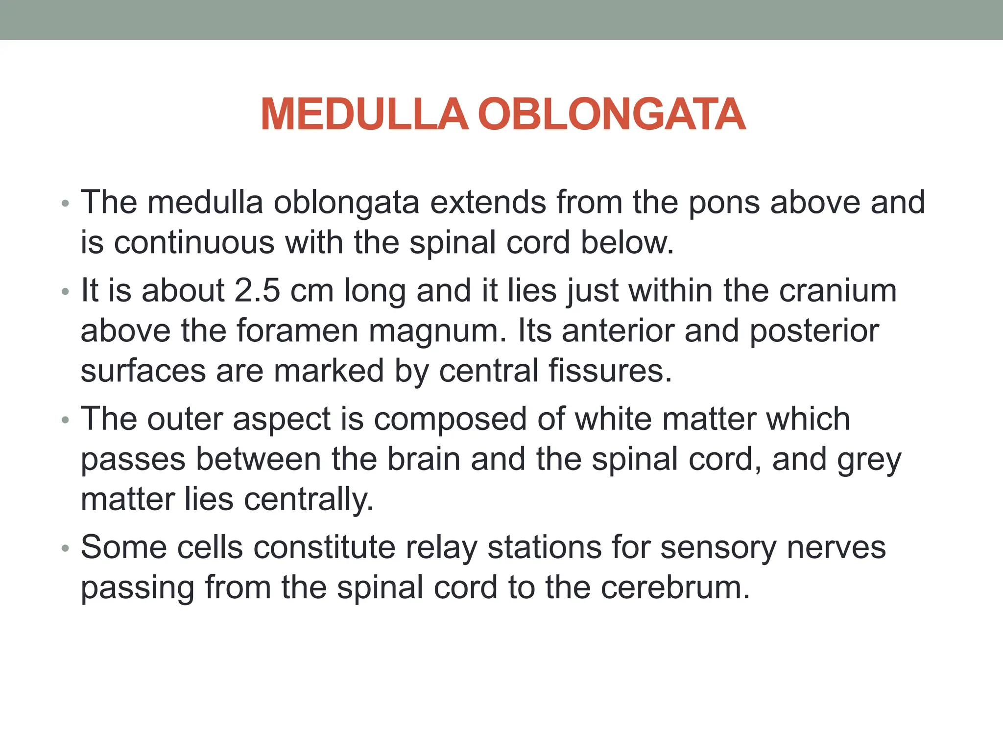 MEDULLA OBLONGATA
• The medulla oblongata extends from the pons above and
is continuous with the spinal cord below.
• It is about 2.5 cm long and it lies just within the cranium
above the foramen magnum. Its anterior and posterior
surfaces are marked by central fissures.
• The outer aspect is composed of white matter which
passes between the brain and the spinal cord, and grey
matter lies centrally.
• Some cells constitute relay stations for sensory nerves
passing from the spinal cord to the cerebrum.
 