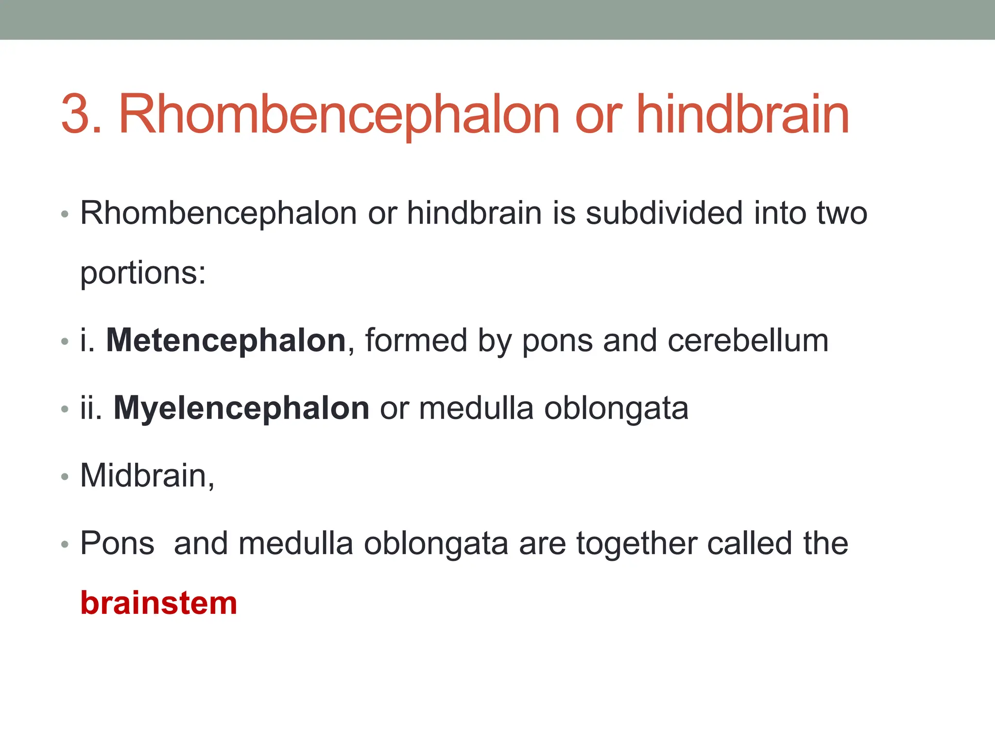 3. Rhombencephalon or hindbrain
• Rhombencephalon or hindbrain is subdivided into two
portions:
• i. Metencephalon, formed by pons and cerebellum
• ii. Myelencephalon or medulla oblongata
• Midbrain,
• Pons and medulla oblongata are together called the
brainstem
 