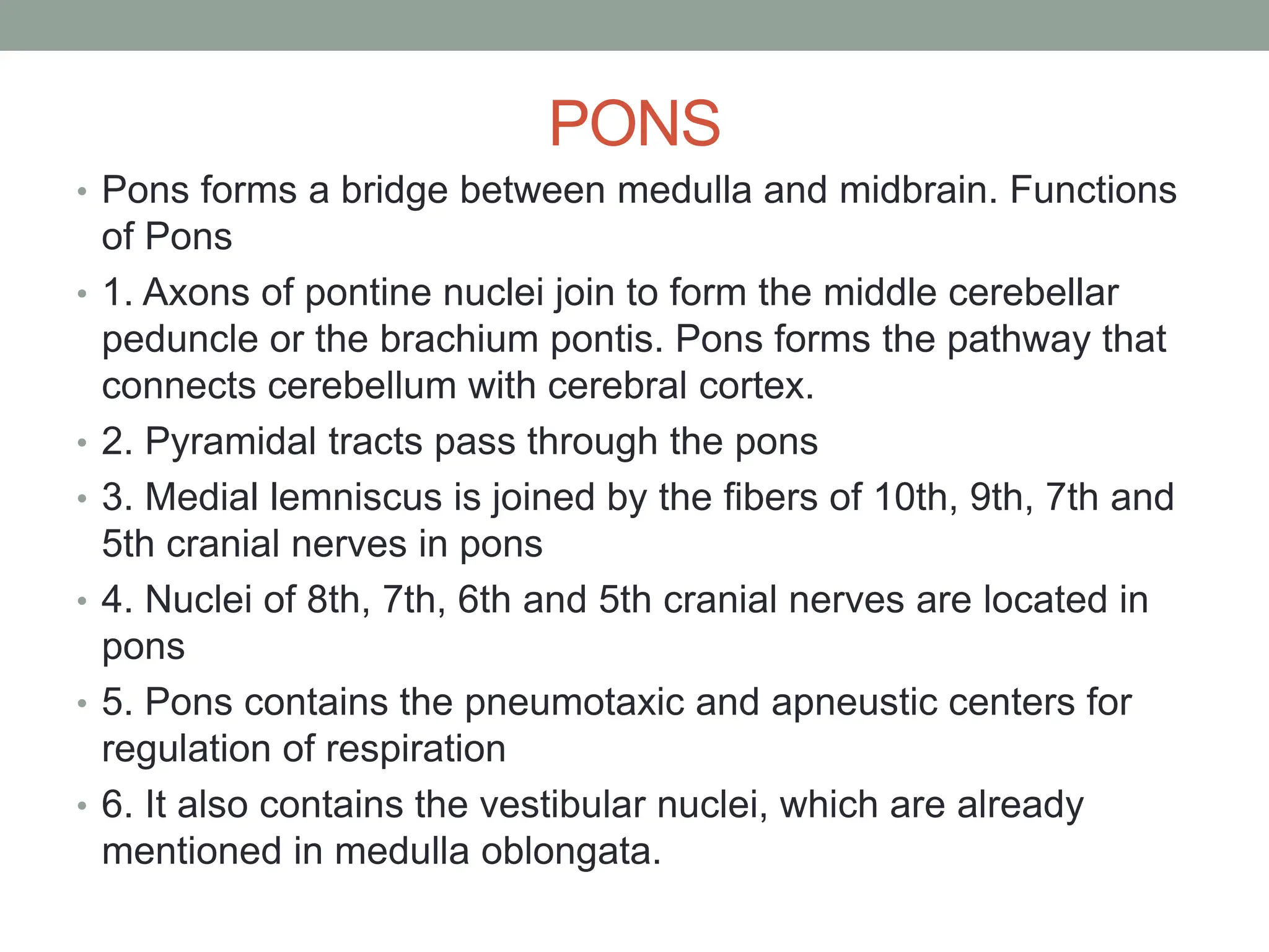 PONS
• Pons forms a bridge between medulla and midbrain. Functions
of Pons
• 1. Axons of pontine nuclei join to form the middle cerebellar
peduncle or the brachium pontis. Pons forms the pathway that
connects cerebellum with cerebral cortex.
• 2. Pyramidal tracts pass through the pons
• 3. Medial lemniscus is joined by the fibers of 10th, 9th, 7th and
5th cranial nerves in pons
• 4. Nuclei of 8th, 7th, 6th and 5th cranial nerves are located in
pons
• 5. Pons contains the pneumotaxic and apneustic centers for
regulation of respiration
• 6. It also contains the vestibular nuclei, which are already
mentioned in medulla oblongata.
 
