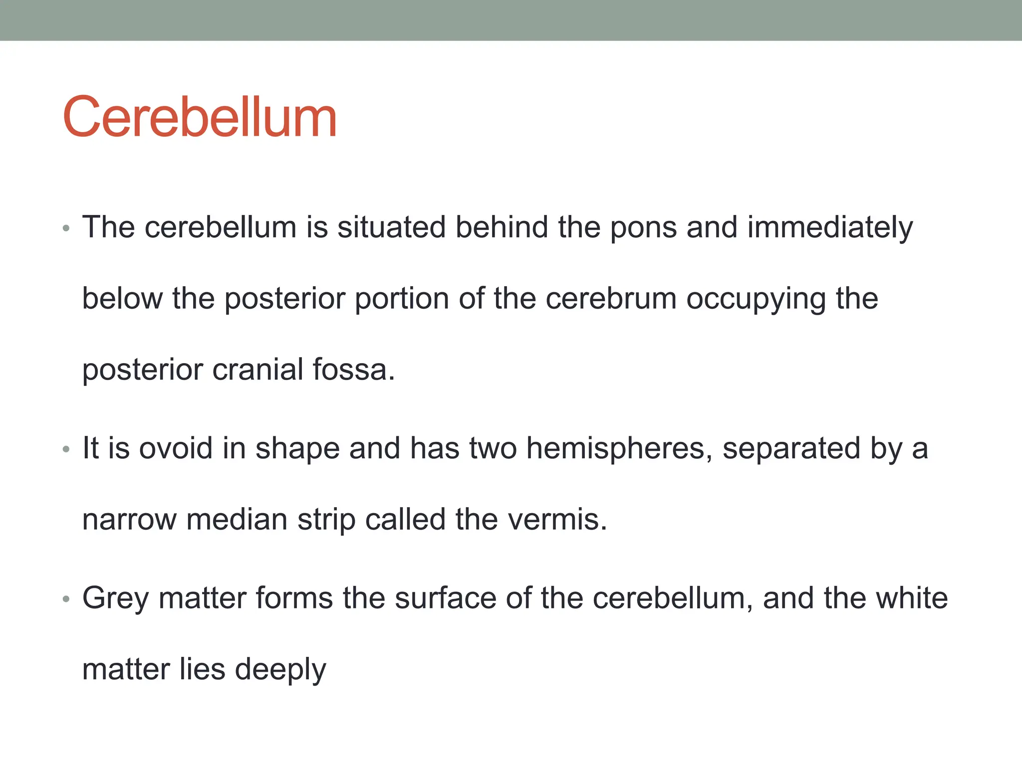 Cerebellum
• The cerebellum is situated behind the pons and immediately
below the posterior portion of the cerebrum occupying the
posterior cranial fossa.
• It is ovoid in shape and has two hemispheres, separated by a
narrow median strip called the vermis.
• Grey matter forms the surface of the cerebellum, and the white
matter lies deeply
 