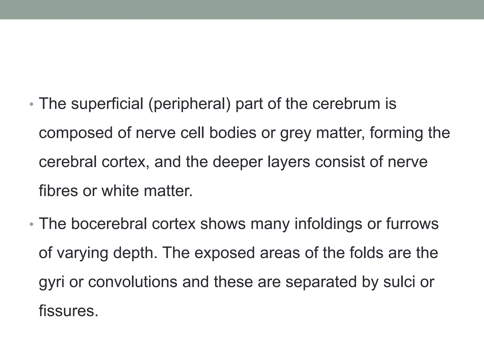 • The superficial (peripheral) part of the cerebrum is
composed of nerve cell bodies or grey matter, forming the
cerebral cortex, and the deeper layers consist of nerve
fibres or white matter.
• The bocerebral cortex shows many infoldings or furrows
of varying depth. The exposed areas of the folds are the
gyri or convolutions and these are separated by sulci or
fissures.
 