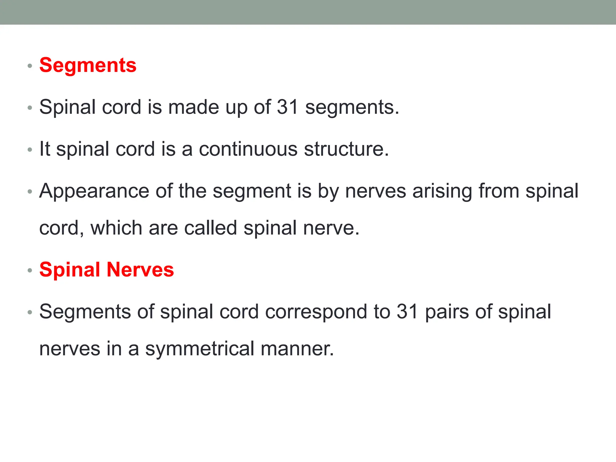 • Segments
• Spinal cord is made up of 31 segments.
• It spinal cord is a continuous structure.
• Appearance of the segment is by nerves arising from spinal
cord, which are called spinal nerve.
• Spinal Nerves
• Segments of spinal cord correspond to 31 pairs of spinal
nerves in a symmetrical manner.
 