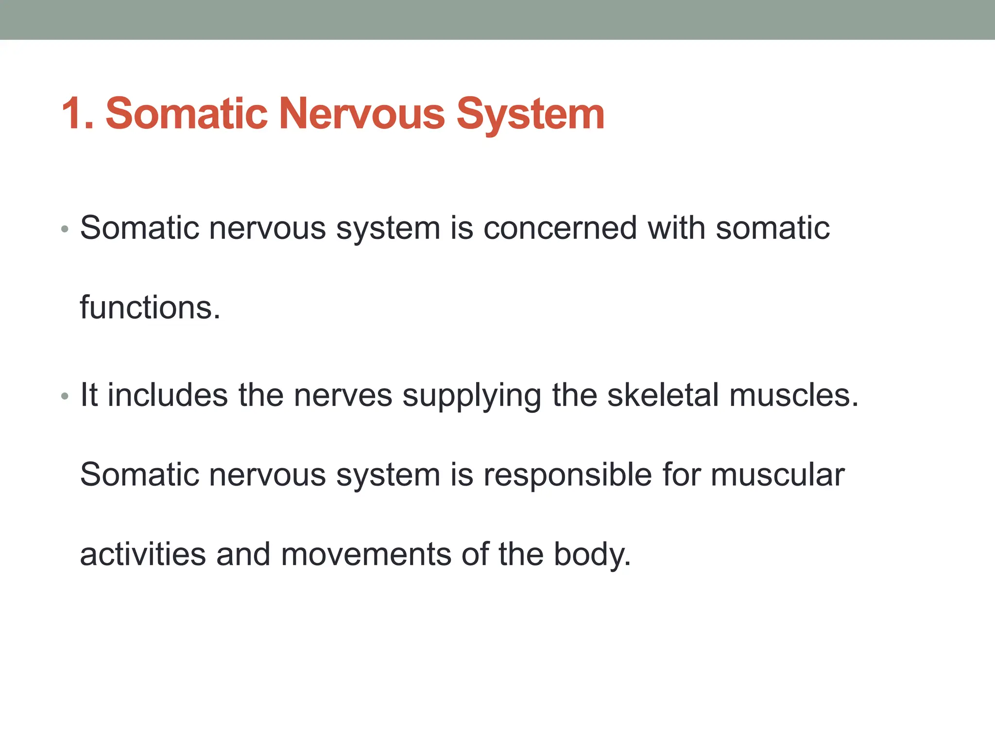 1. Somatic Nervous System
• Somatic nervous system is concerned with somatic
functions.
• It includes the nerves supplying the skeletal muscles.
Somatic nervous system is responsible for muscular
activities and movements of the body.
 