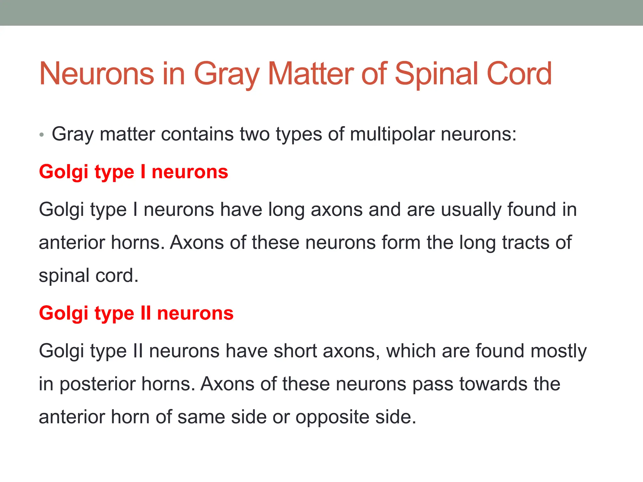 Neurons in Gray Matter of Spinal Cord
• Gray matter contains two types of multipolar neurons:
Golgi type I neurons
Golgi type I neurons have long axons and are usually found in
anterior horns. Axons of these neurons form the long tracts of
spinal cord.
Golgi type II neurons
Golgi type II neurons have short axons, which are found mostly
in posterior horns. Axons of these neurons pass towards the
anterior horn of same side or opposite side.
 