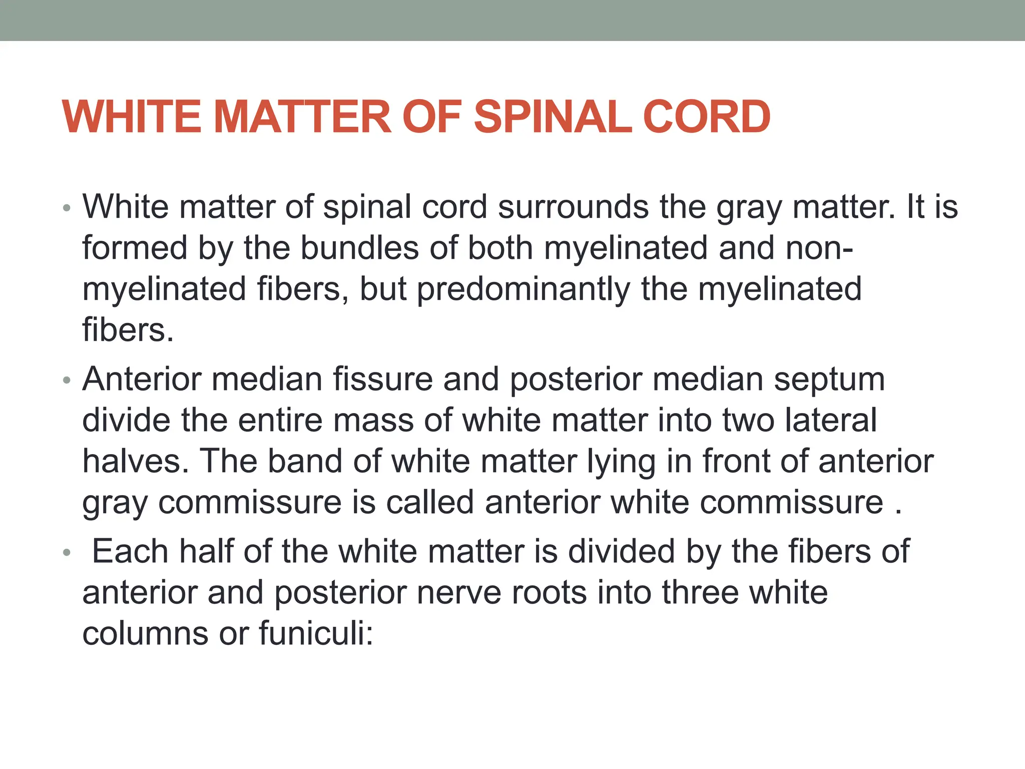 WHITE MATTER OF SPINAL CORD
• White matter of spinal cord surrounds the gray matter. It is
formed by the bundles of both myelinated and non-
myelinated fibers, but predominantly the myelinated
fibers.
• Anterior median fissure and posterior median septum
divide the entire mass of white matter into two lateral
halves. The band of white matter lying in front of anterior
gray commissure is called anterior white commissure .
• Each half of the white matter is divided by the fibers of
anterior and posterior nerve roots into three white
columns or funiculi:
 