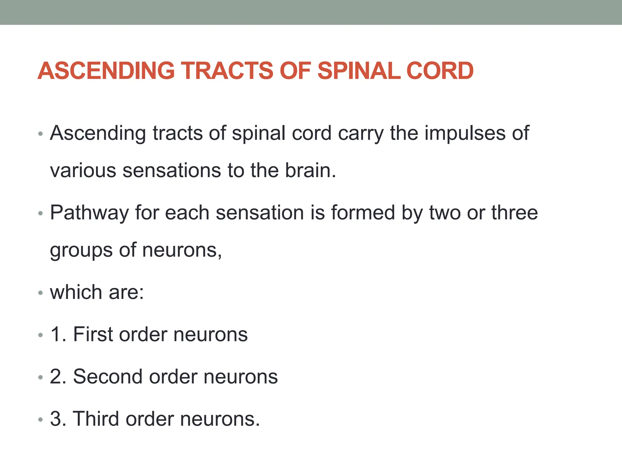 ASCENDING TRACTS OF SPINAL CORD
• Ascending tracts of spinal cord carry the impulses of
various sensations to the brain.
• Pathway for each sensation is formed by two or three
groups of neurons,
• which are:
• 1. First order neurons
• 2. Second order neurons
• 3. Third order neurons.
 