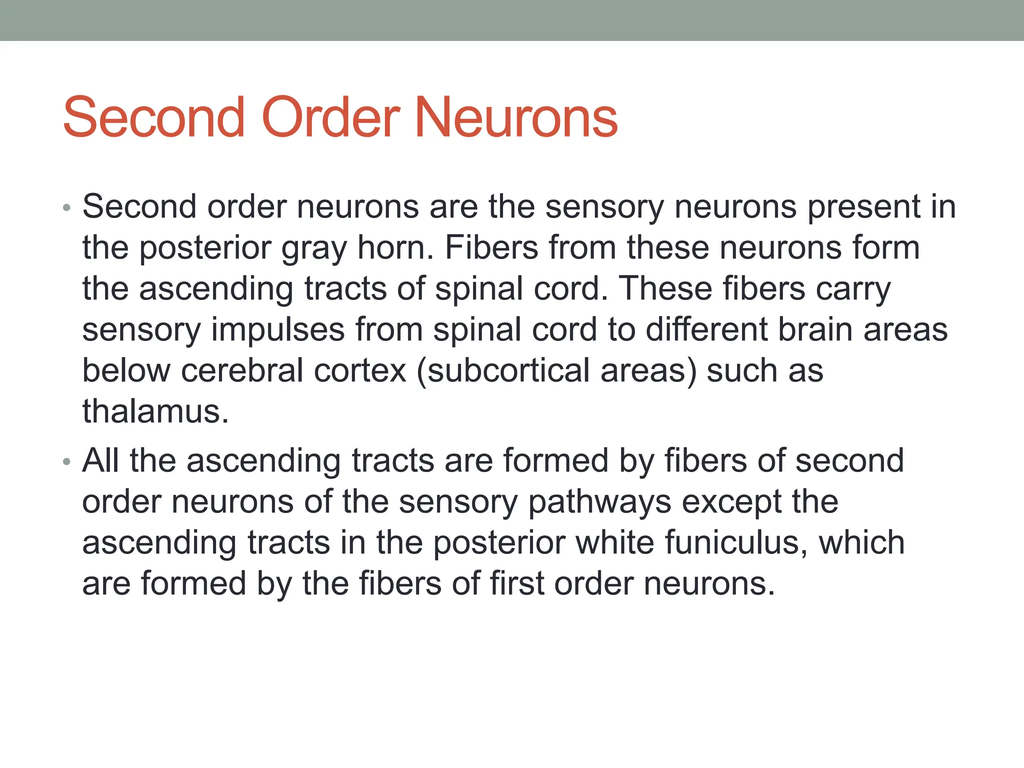 Second Order Neurons
• Second order neurons are the sensory neurons present in
the posterior gray horn. Fibers from these neurons form
the ascending tracts of spinal cord. These fibers carry
sensory impulses from spinal cord to different brain areas
below cerebral cortex (subcortical areas) such as
thalamus.
• All the ascending tracts are formed by fibers of second
order neurons of the sensory pathways except the
ascending tracts in the posterior white funiculus, which
are formed by the fibers of first order neurons.
 