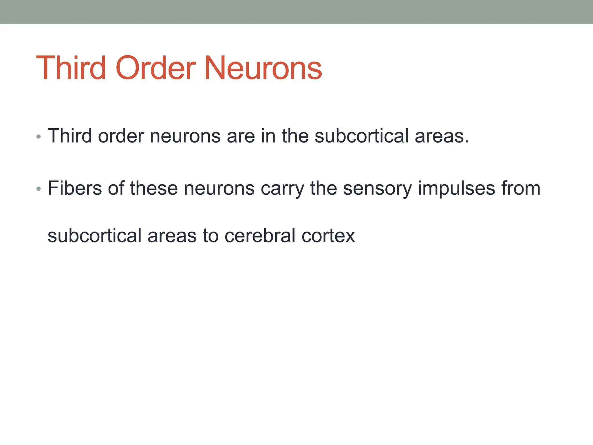 Third Order Neurons
• Third order neurons are in the subcortical areas.
• Fibers of these neurons carry the sensory impulses from
subcortical areas to cerebral cortex
 