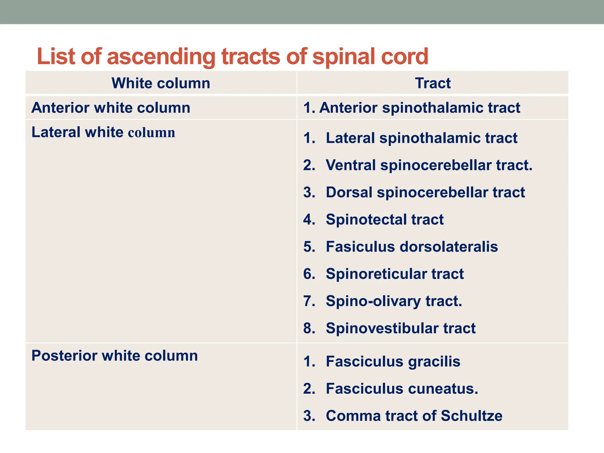 List of ascending tracts of spinal cord
White column Tract
Anterior white column 1. Anterior spinothalamic tract
Lateral white column 1. Lateral spinothalamic tract
2. Ventral spinocerebellar tract.
3. Dorsal spinocerebellar tract
4. Spinotectal tract
5. Fasiculus dorsolateralis
6. Spinoreticular tract
7. Spino-olivary tract.
8. Spinovestibular tract
Posterior white column 1. Fasciculus gracilis
2. Fasciculus cuneatus.
3. Comma tract of Schultze
 