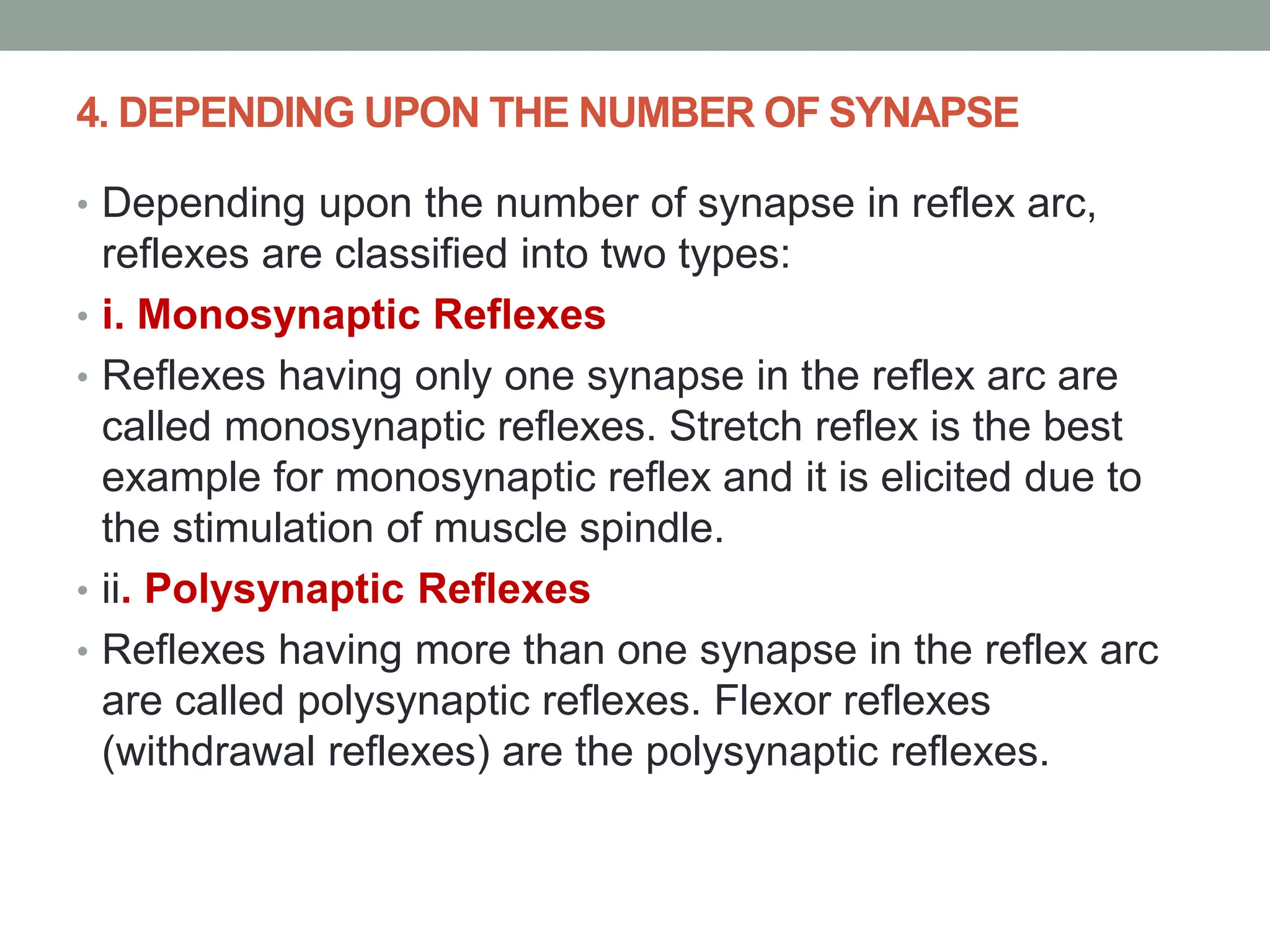 4. DEPENDING UPON THE NUMBER OF SYNAPSE
• Depending upon the number of synapse in reflex arc,
reflexes are classified into two types:
• i. Monosynaptic Reflexes
• Reflexes having only one synapse in the reflex arc are
called monosynaptic reflexes. Stretch reflex is the best
example for monosynaptic reflex and it is elicited due to
the stimulation of muscle spindle.
• ii. Polysynaptic Reflexes
• Reflexes having more than one synapse in the reflex arc
are called polysynaptic reflexes. Flexor reflexes
(withdrawal reflexes) are the polysynaptic reflexes.
 
