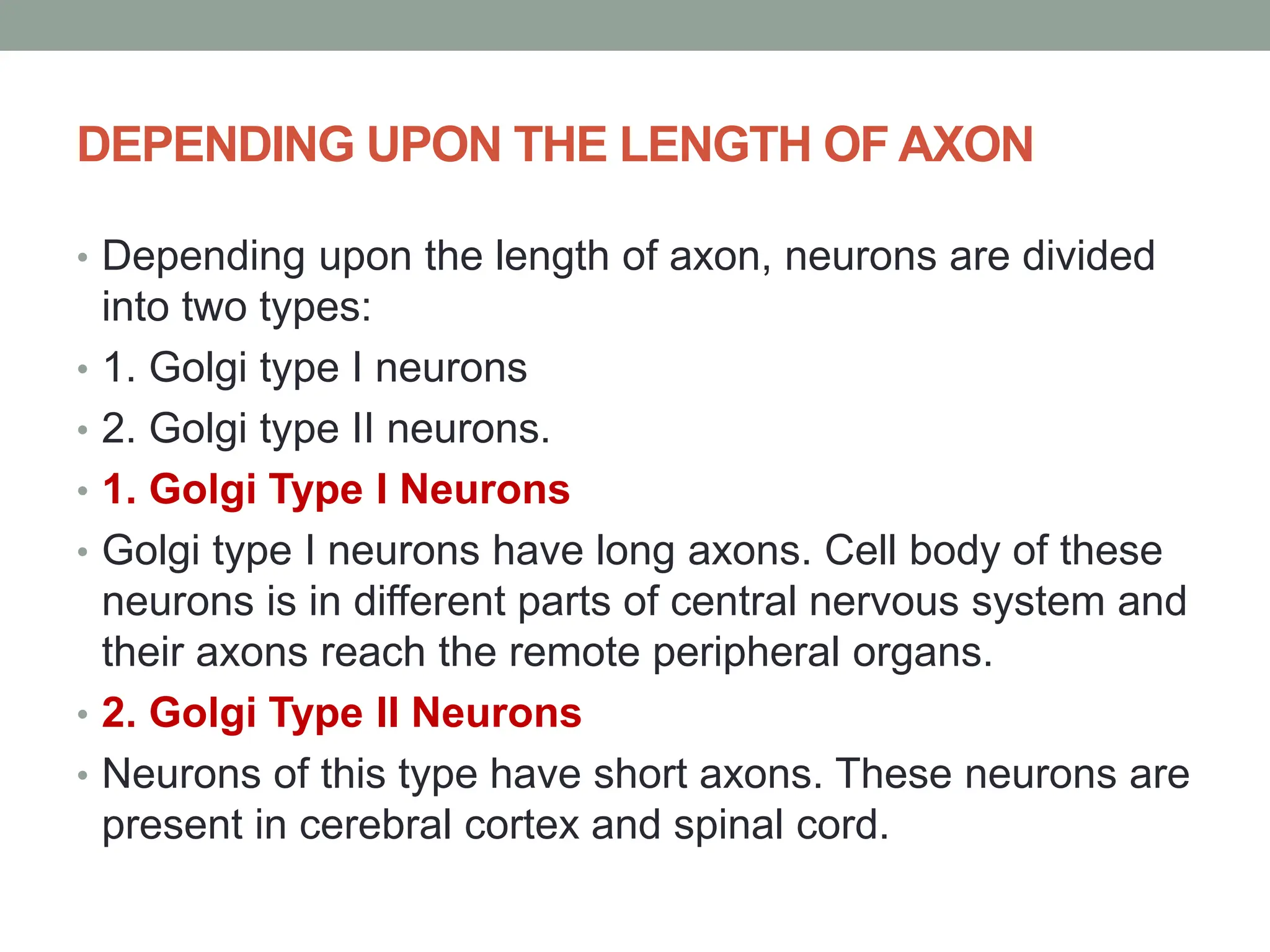 DEPENDING UPON THE LENGTH OF AXON
• Depending upon the length of axon, neurons are divided
into two types:
• 1. Golgi type I neurons
• 2. Golgi type II neurons.
• 1. Golgi Type I Neurons
• Golgi type I neurons have long axons. Cell body of these
neurons is in different parts of central nervous system and
their axons reach the remote peripheral organs.
• 2. Golgi Type II Neurons
• Neurons of this type have short axons. These neurons are
present in cerebral cortex and spinal cord.
 