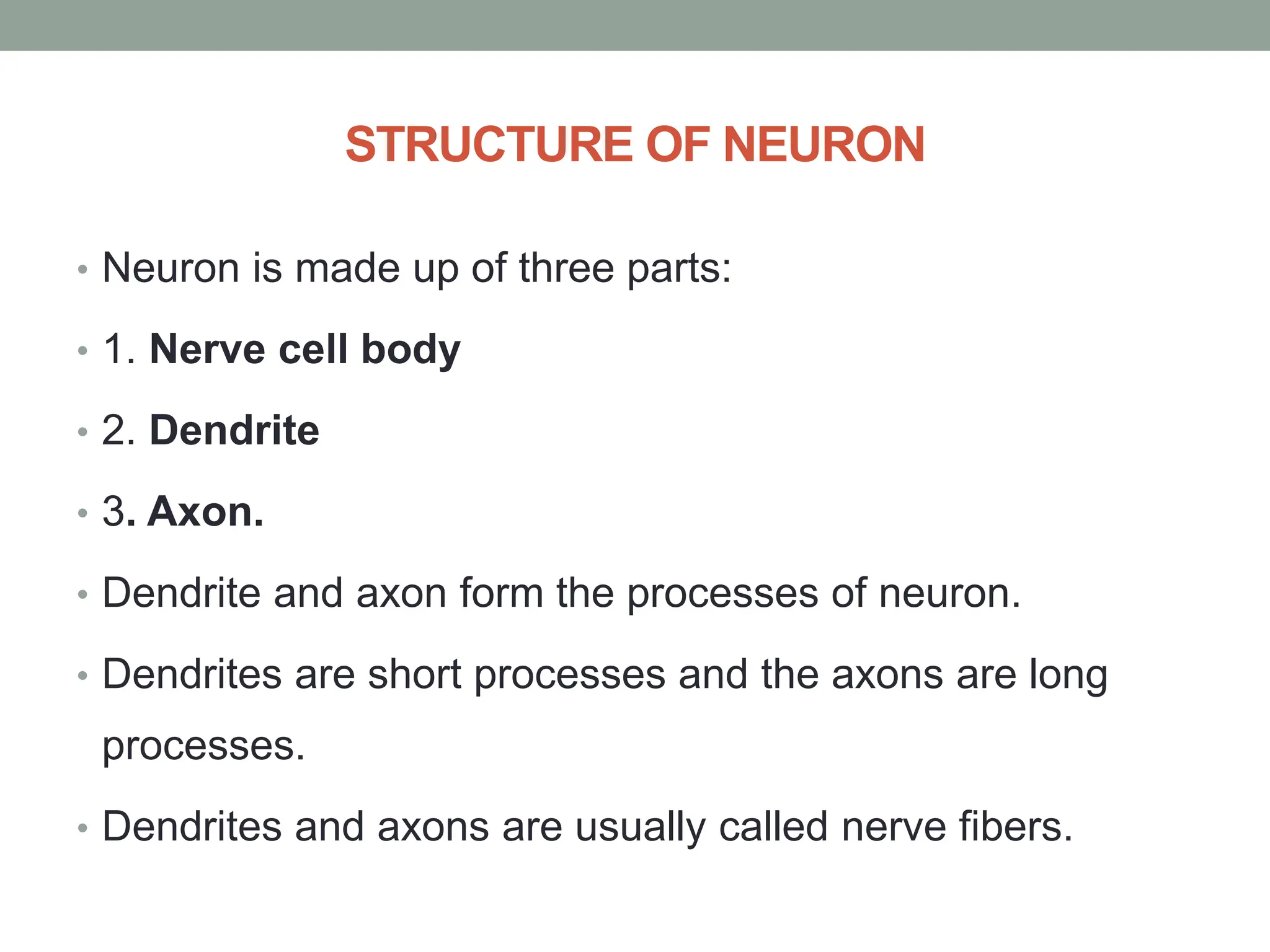 STRUCTURE OF NEURON
• Neuron is made up of three parts:
• 1. Nerve cell body
• 2. Dendrite
• 3. Axon.
• Dendrite and axon form the processes of neuron.
• Dendrites are short processes and the axons are long
processes.
• Dendrites and axons are usually called nerve fibers.
 