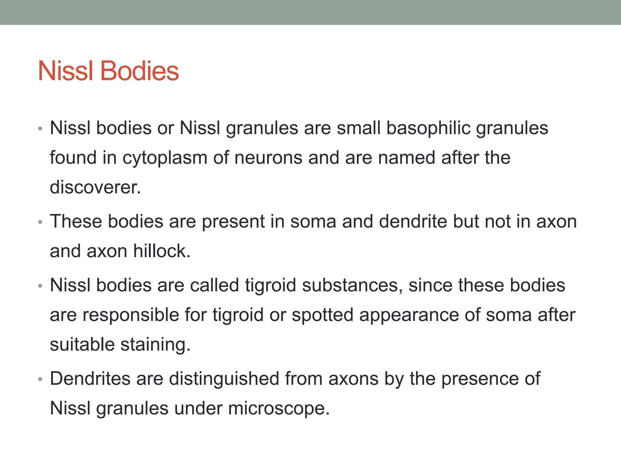 Nissl Bodies
• Nissl bodies or Nissl granules are small basophilic granules
found in cytoplasm of neurons and are named after the
discoverer.
• These bodies are present in soma and dendrite but not in axon
and axon hillock.
• Nissl bodies are called tigroid substances, since these bodies
are responsible for tigroid or spotted appearance of soma after
suitable staining.
• Dendrites are distinguished from axons by the presence of
Nissl granules under microscope.
 