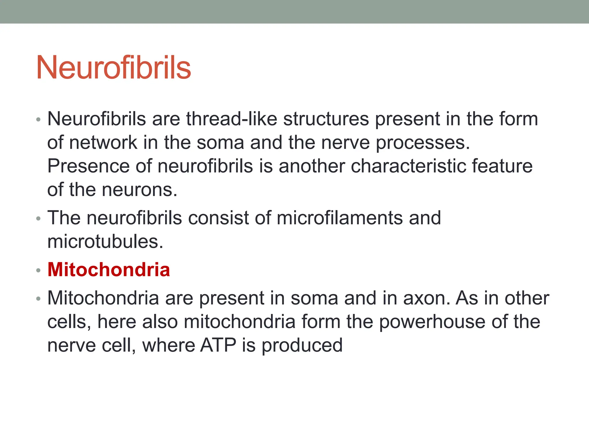 Neurofibrils
• Neurofibrils are thread-like structures present in the form
of network in the soma and the nerve processes.
Presence of neurofibrils is another characteristic feature
of the neurons.
• The neurofibrils consist of microfilaments and
microtubules.
• Mitochondria
• Mitochondria are present in soma and in axon. As in other
cells, here also mitochondria form the powerhouse of the
nerve cell, where ATP is produced
 