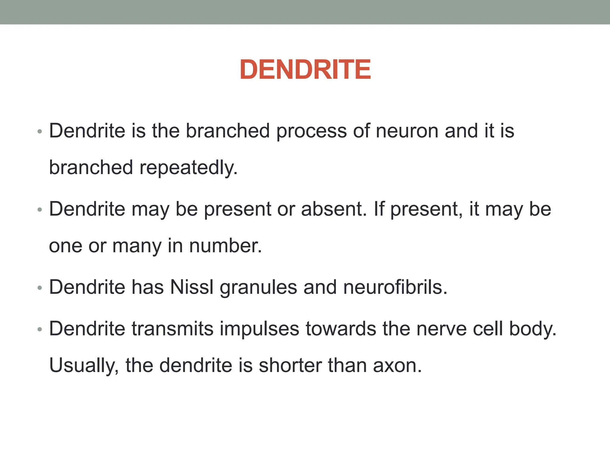 DENDRITE
• Dendrite is the branched process of neuron and it is
branched repeatedly.
• Dendrite may be present or absent. If present, it may be
one or many in number.
• Dendrite has Nissl granules and neurofibrils.
• Dendrite transmits impulses towards the nerve cell body.
Usually, the dendrite is shorter than axon.
 