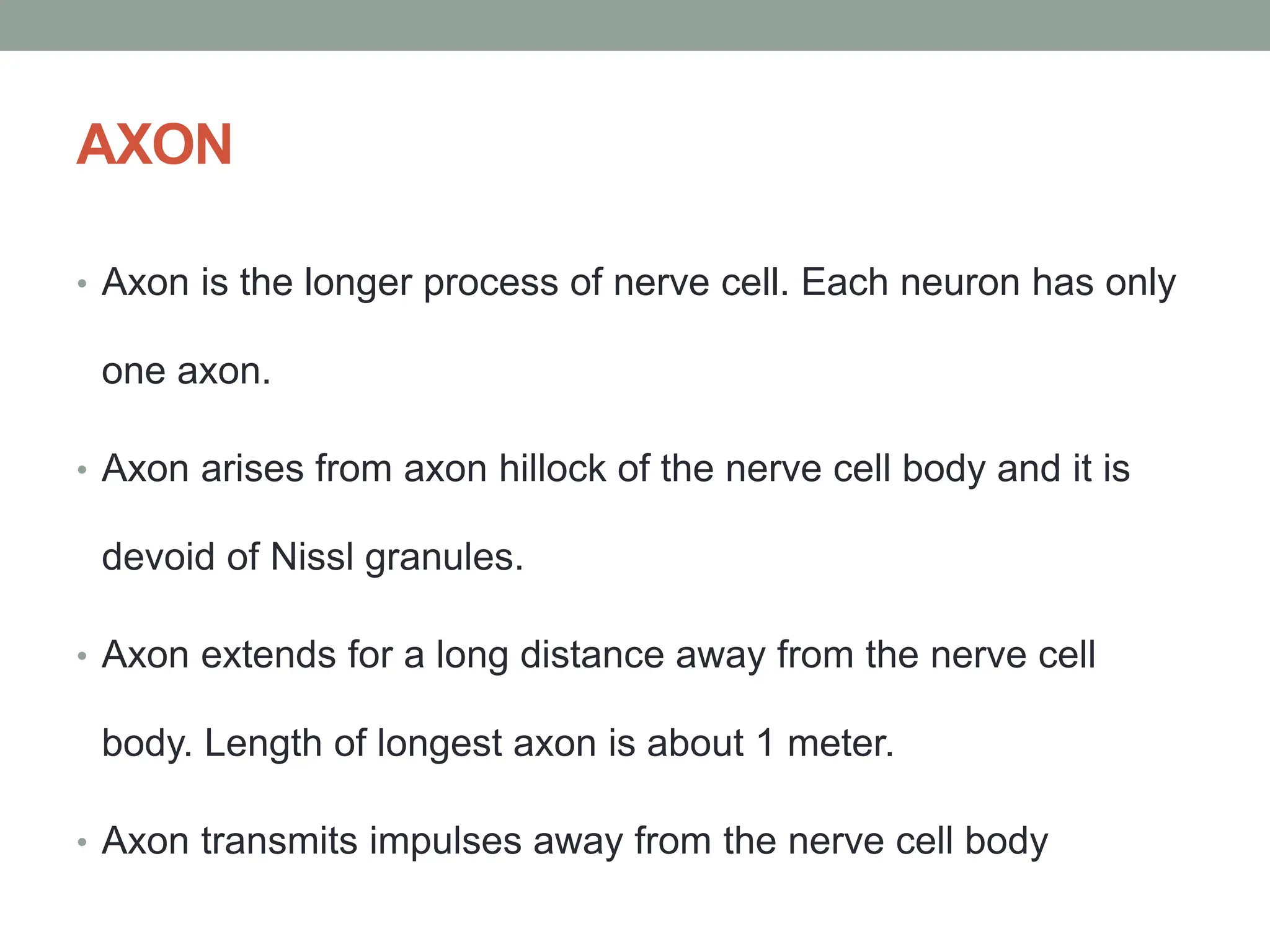 AXON
• Axon is the longer process of nerve cell. Each neuron has only
one axon.
• Axon arises from axon hillock of the nerve cell body and it is
devoid of Nissl granules.
• Axon extends for a long distance away from the nerve cell
body. Length of longest axon is about 1 meter.
• Axon transmits impulses away from the nerve cell body
 