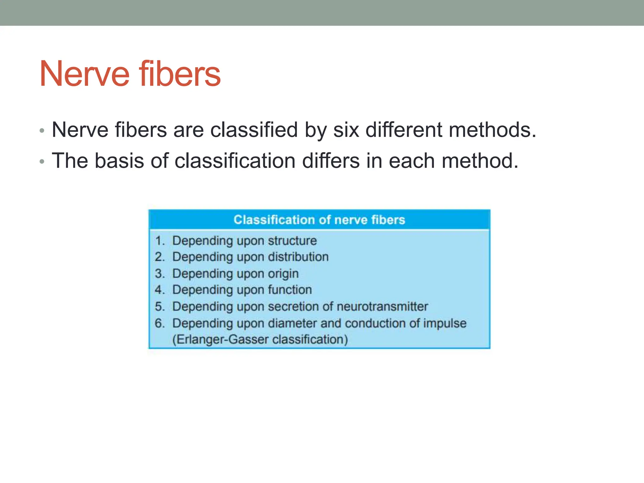 Nerve fibers
• Nerve fibers are classified by six different methods.
• The basis of classification differs in each method.
 