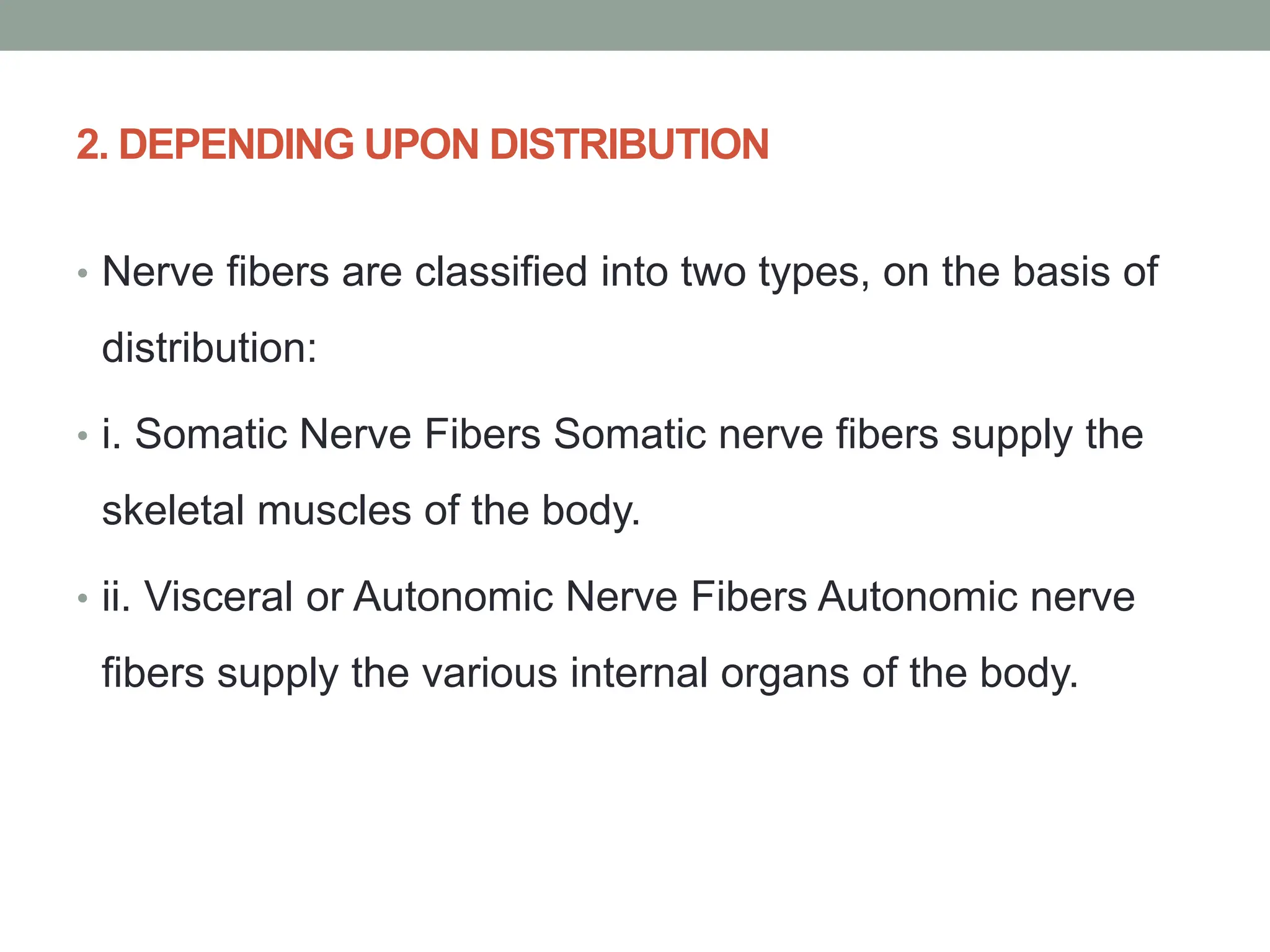 2. DEPENDING UPON DISTRIBUTION
• Nerve fibers are classified into two types, on the basis of
distribution:
• i. Somatic Nerve Fibers Somatic nerve fibers supply the
skeletal muscles of the body.
• ii. Visceral or Autonomic Nerve Fibers Autonomic nerve
fibers supply the various internal organs of the body.
 
