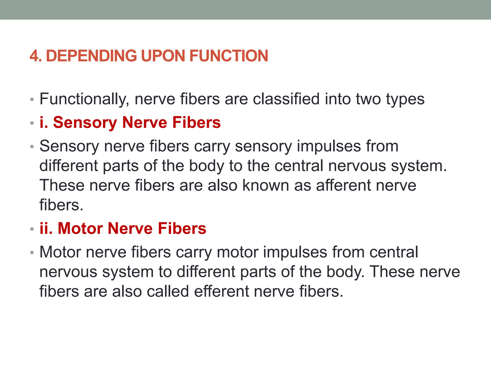 4. DEPENDING UPON FUNCTION
• Functionally, nerve fibers are classified into two types
• i. Sensory Nerve Fibers
• Sensory nerve fibers carry sensory impulses from
different parts of the body to the central nervous system.
These nerve fibers are also known as afferent nerve
fibers.
• ii. Motor Nerve Fibers
• Motor nerve fibers carry motor impulses from central
nervous system to different parts of the body. These nerve
fibers are also called efferent nerve fibers.
 