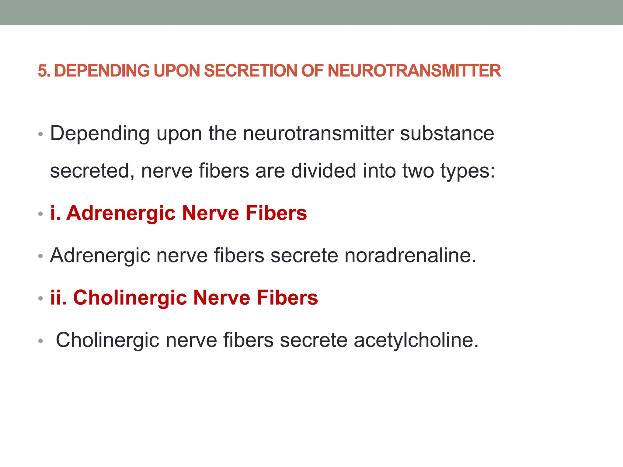 5. DEPENDING UPON SECRETION OF NEUROTRANSMITTER
• Depending upon the neurotransmitter substance
secreted, nerve fibers are divided into two types:
• i. Adrenergic Nerve Fibers
• Adrenergic nerve fibers secrete noradrenaline.
• ii. Cholinergic Nerve Fibers
• Cholinergic nerve fibers secrete acetylcholine.
 