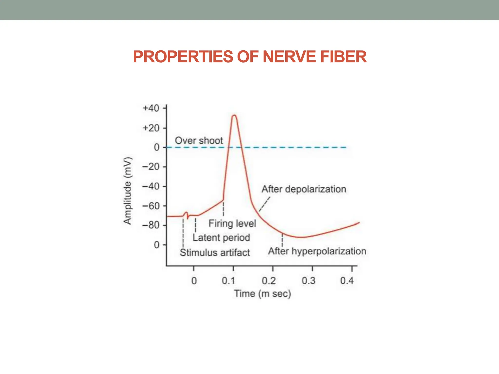 PROPERTIES OF NERVE FIBER
 