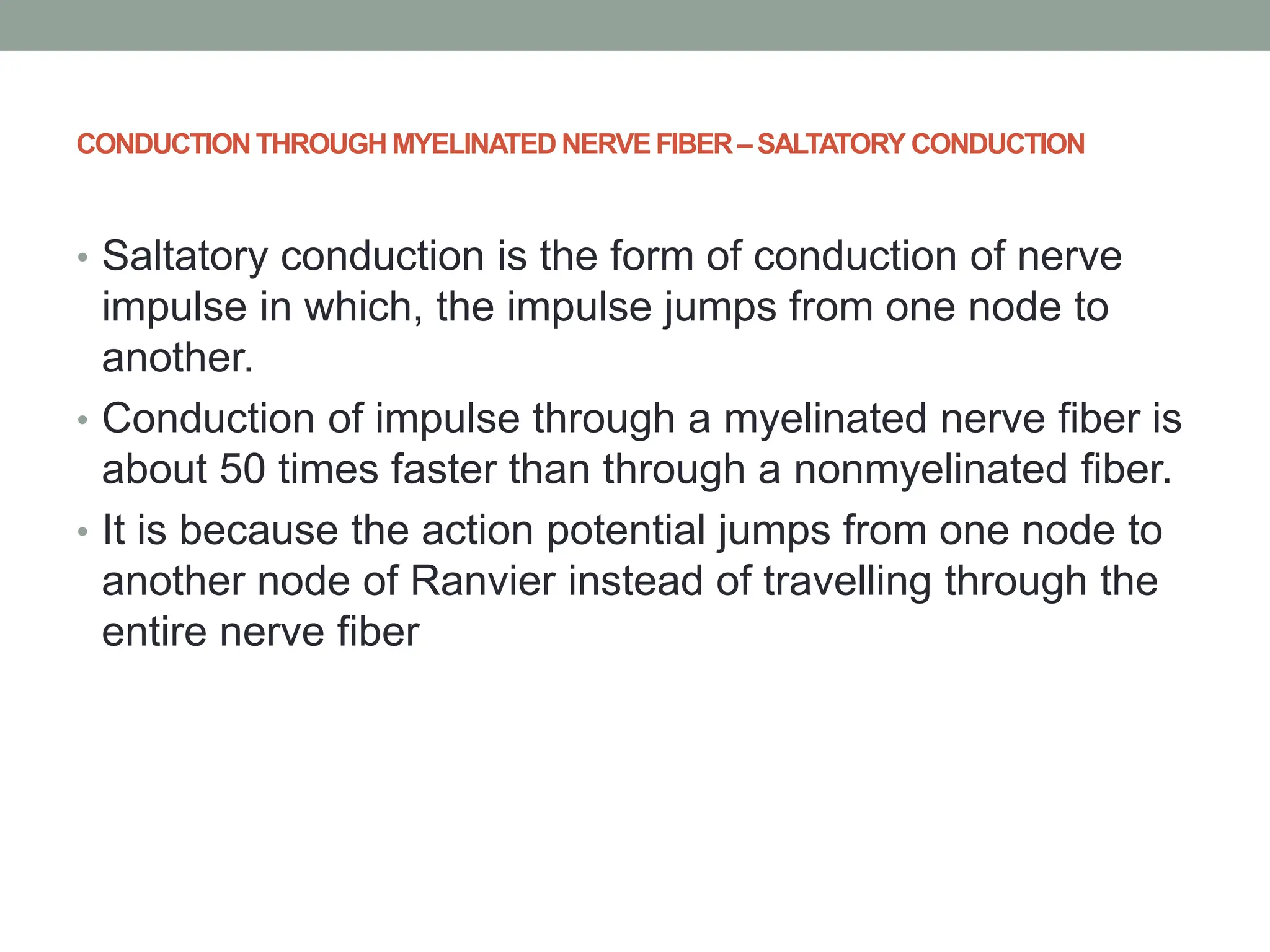 CONDUCTION THROUGH MYELINATED NERVE FIBER– SALTATORY CONDUCTION
• Saltatory conduction is the form of conduction of nerve
impulse in which, the impulse jumps from one node to
another.
• Conduction of impulse through a myelinated nerve fiber is
about 50 times faster than through a nonmyelinated fiber.
• It is because the action potential jumps from one node to
another node of Ranvier instead of travelling through the
entire nerve fiber
 