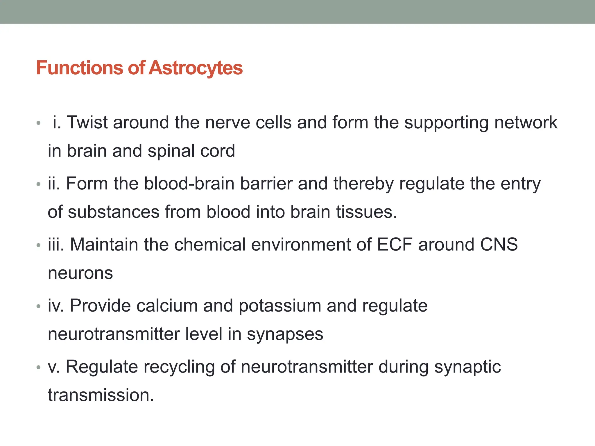 Functions of Astrocytes
• i. Twist around the nerve cells and form the supporting network
in brain and spinal cord
• ii. Form the blood-brain barrier and thereby regulate the entry
of substances from blood into brain tissues.
• iii. Maintain the chemical environment of ECF around CNS
neurons
• iv. Provide calcium and potassium and regulate
neurotransmitter level in synapses
• v. Regulate recycling of neurotransmitter during synaptic
transmission.
 