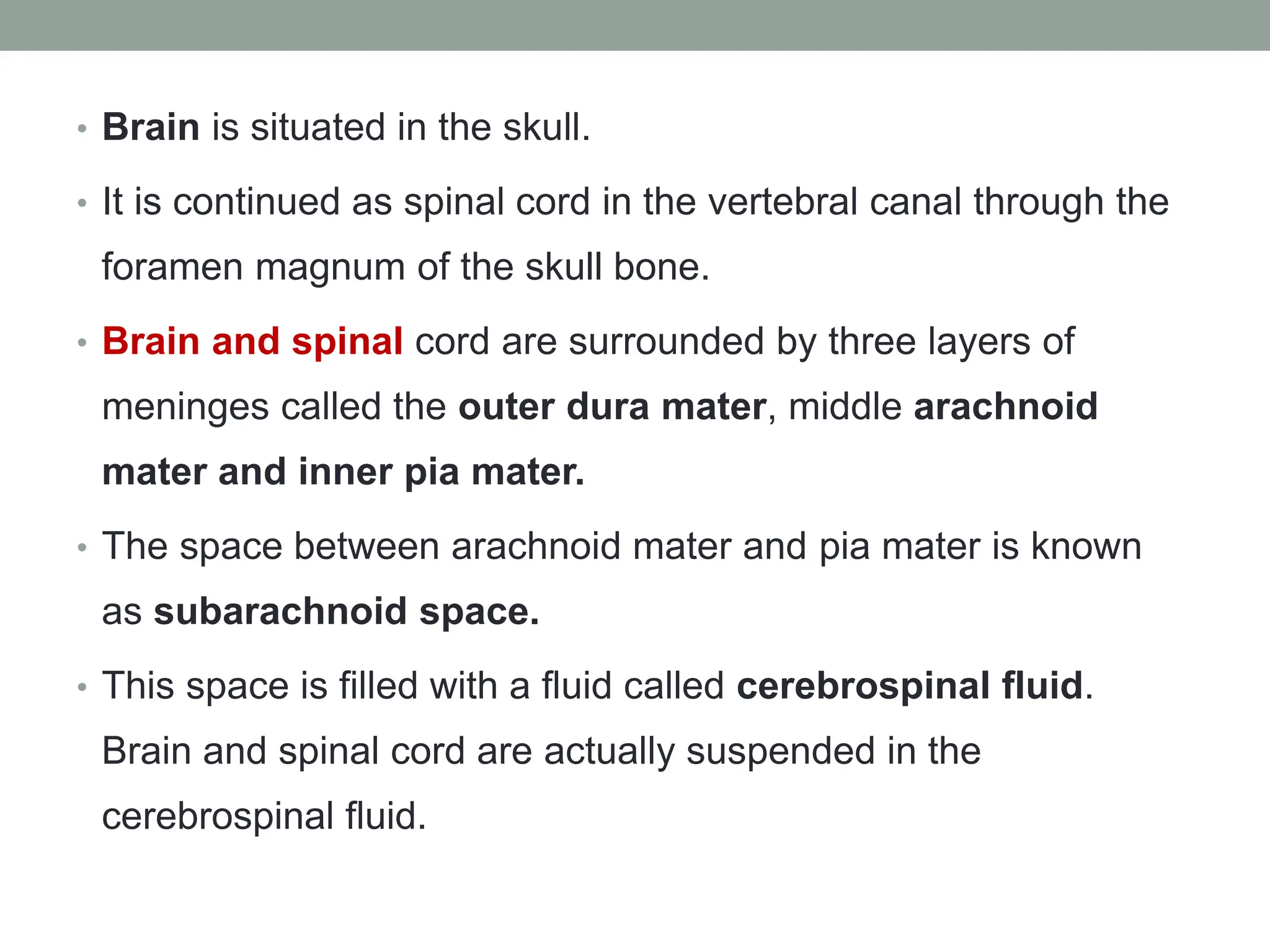 • Brain is situated in the skull.
• It is continued as spinal cord in the vertebral canal through the
foramen magnum of the skull bone.
• Brain and spinal cord are surrounded by three layers of
meninges called the outer dura mater, middle arachnoid
mater and inner pia mater.
• The space between arachnoid mater and pia mater is known
as subarachnoid space.
• This space is filled with a fluid called cerebrospinal fluid.
Brain and spinal cord are actually suspended in the
cerebrospinal fluid.
 