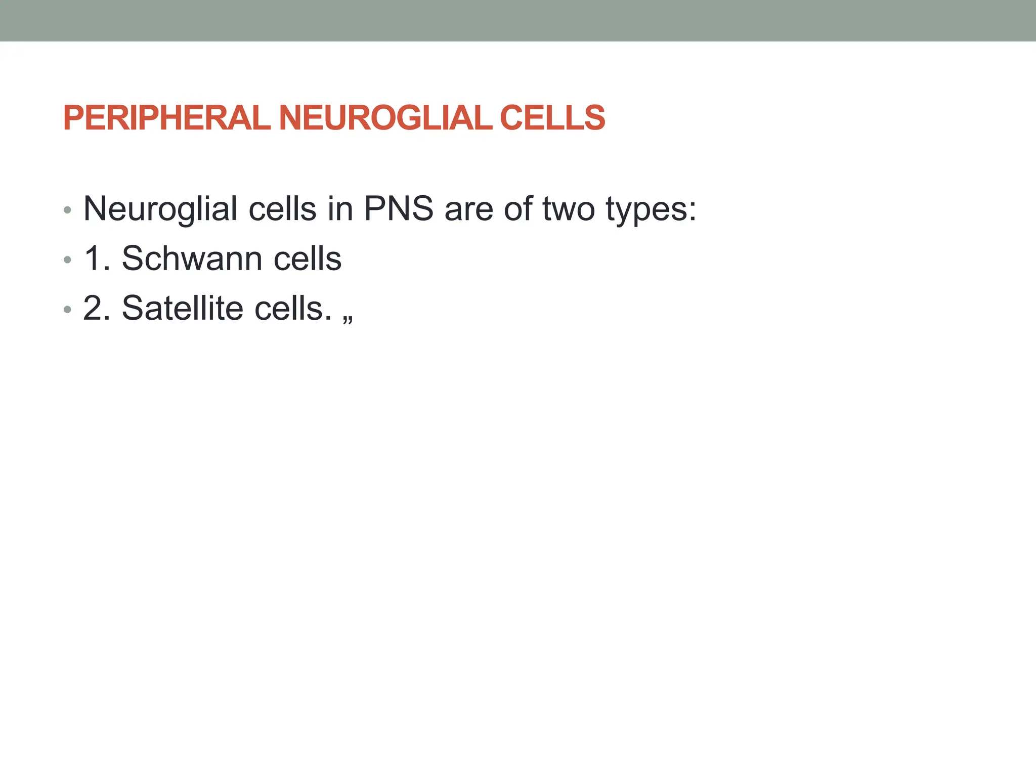 PERIPHERAL NEUROGLIAL CELLS
• Neuroglial cells in PNS are of two types:
• 1. Schwann cells
• 2. Satellite cells. „
 