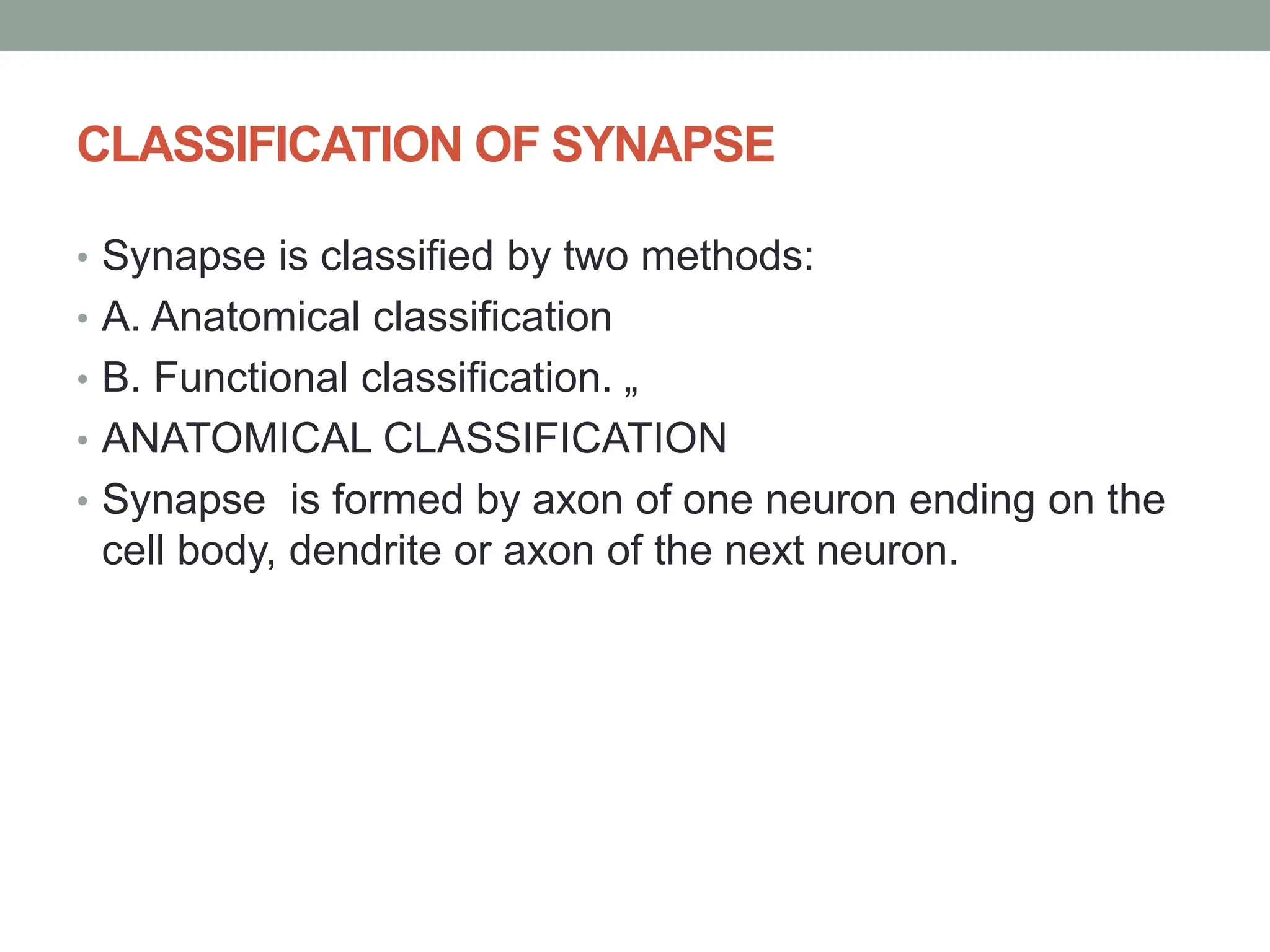 CLASSIFICATION OF SYNAPSE
• Synapse is classified by two methods:
• A. Anatomical classification
• B. Functional classification. „
• ANATOMICAL CLASSIFICATION
• Synapse is formed by axon of one neuron ending on the
cell body, dendrite or axon of the next neuron.
 