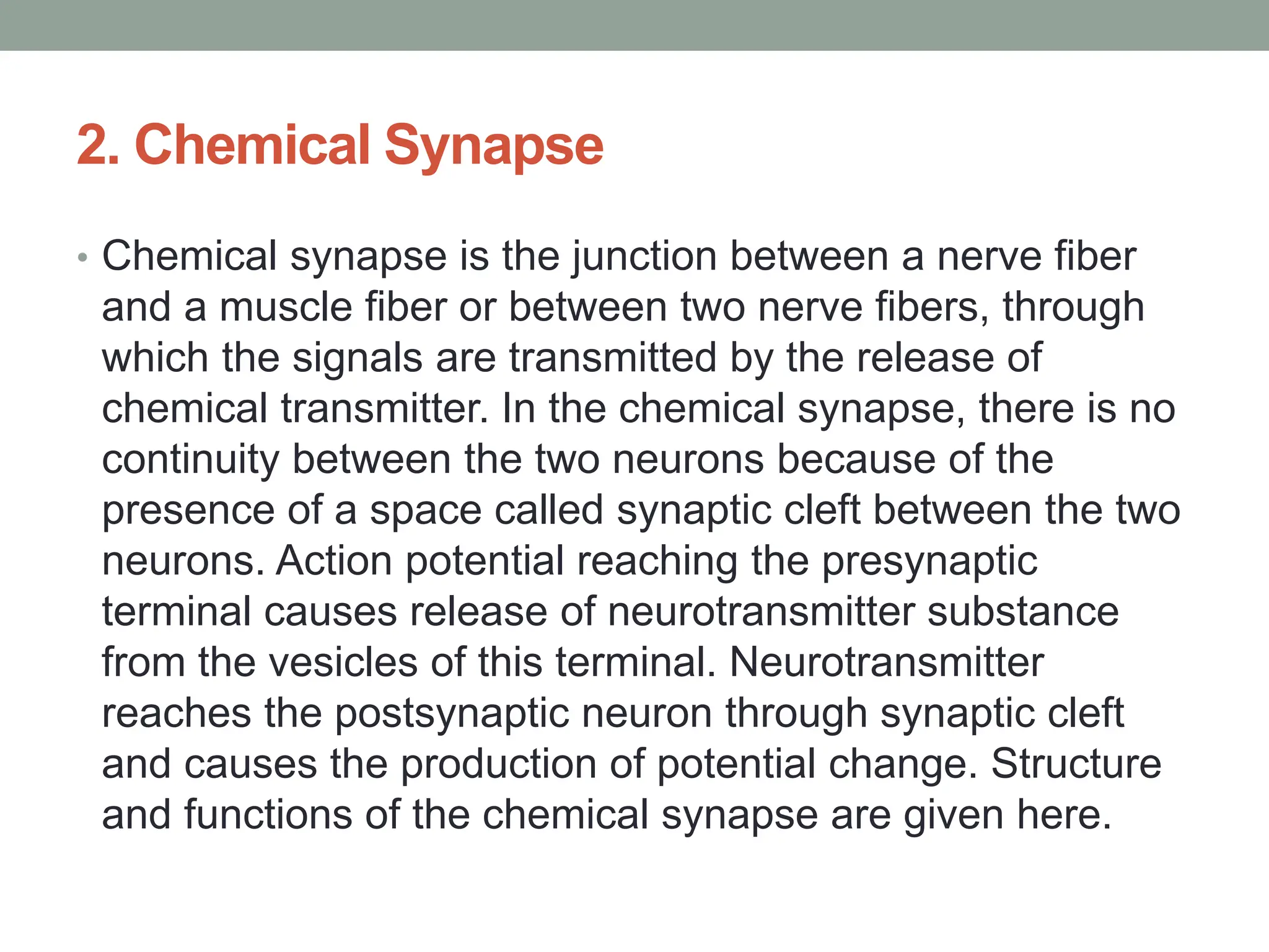 2. Chemical Synapse
• Chemical synapse is the junction between a nerve fiber
and a muscle fiber or between two nerve fibers, through
which the signals are transmitted by the release of
chemical transmitter. In the chemical synapse, there is no
continuity between the two neurons because of the
presence of a space called synaptic cleft between the two
neurons. Action potential reaching the presynaptic
terminal causes release of neurotransmitter substance
from the vesicles of this terminal. Neurotransmitter
reaches the postsynaptic neuron through synaptic cleft
and causes the production of potential change. Structure
and functions of the chemical synapse are given here.
 