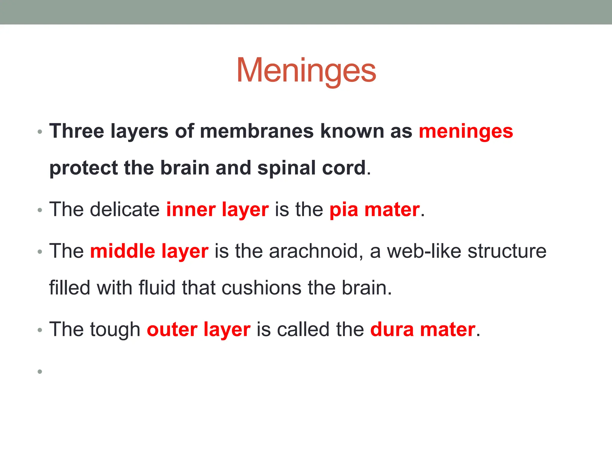 Meninges
• Three layers of membranes known as meninges
protect the brain and spinal cord.
• The delicate inner layer is the pia mater.
• The middle layer is the arachnoid, a web-like structure
filled with fluid that cushions the brain.
• The tough outer layer is called the dura mater.
•
 