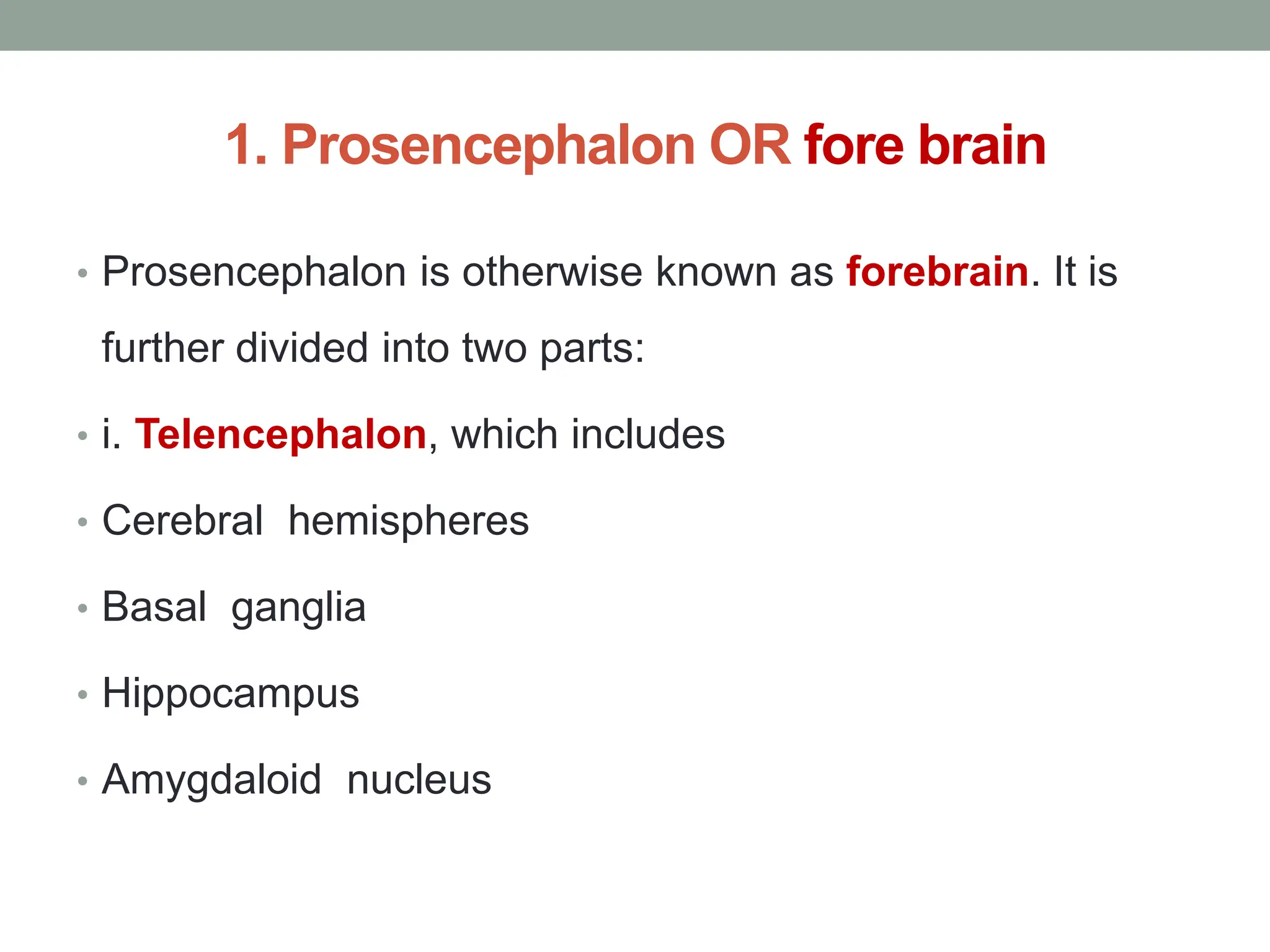 1. Prosencephalon OR fore brain
• Prosencephalon is otherwise known as forebrain. It is
further divided into two parts:
• i. Telencephalon, which includes
• Cerebral hemispheres
• Basal ganglia
• Hippocampus
• Amygdaloid nucleus
 