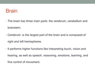 Brain
• The brain has three main parts: the cerebrum, cerebellum and
brainstem.
• Cerebrum: is the largest part of the brain and is composed of
right and left hemispheres.
• It performs higher functions like interpreting touch, vision and
hearing, as well as speech, reasoning, emotions, learning, and
fine control of movement.
 