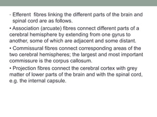 • Efferent fibres linking the different parts of the brain and
spinal cord are as follows.
• Association (arcuate) fibres connect different parts of a
cerebral hemisphere by extending from one gyrus to
another, some of which are adjacent and some distant.
• Commissural fibres connect corresponding areas of the
two cerebral hemispheres; the largest and most important
commissure is the corpus callosum.
• Projection fibres connect the cerebral cortex with grey
matter of lower parts of the brain and with the spinal cord,
e.g. the internal capsule.
 
