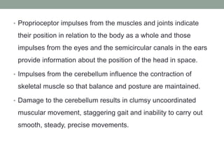 • Proprioceptor impulses from the muscles and joints indicate
their position in relation to the body as a whole and those
impulses from the eyes and the semicircular canals in the ears
provide information about the position of the head in space.
• Impulses from the cerebellum influence the contraction of
skeletal muscle so that balance and posture are maintained.
• Damage to the cerebellum results in clumsy uncoordinated
muscular movement, staggering gait and inability to carry out
smooth, steady, precise movements.
 