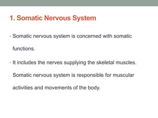 1. Somatic Nervous System
• Somatic nervous system is concerned with somatic
functions.
• It includes the nerves supplying the skeletal muscles.
Somatic nervous system is responsible for muscular
activities and movements of the body.
 
