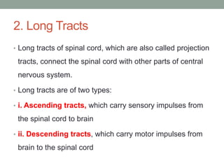 2. Long Tracts
• Long tracts of spinal cord, which are also called projection
tracts, connect the spinal cord with other parts of central
nervous system.
• Long tracts are of two types:
• i. Ascending tracts, which carry sensory impulses from
the spinal cord to brain
• ii. Descending tracts, which carry motor impulses from
brain to the spinal cord
 