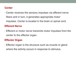 Center
• Center receives the sensory impulses via afferent nerve
fibers and in turn, it generates appropriate motor
impulses. Center is located in the brain or spinal cord.
Efferent Nerve
• Efferent or motor nerve transmits motor impulses from the
center to the effector organ.
Effector Organ
• Effector organ is the structure such as muscle or gland
where the activity occurs in response to stimulus.
 