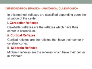 DEPENDING UPON SITUATION –ANATOMICALCLASSIFICATION
• In this method, reflexes are classified depending upon the
situation of the center.
• i. Cerebellar Reflexes
• Cerebellar reflexes are the reflexes which have their
center in cerebellum.
• ii. Cortical Reflexes
• Cortical reflexes are the reflexes that have their center in
cerebral cortex
• iii. Midbrain Reflexes
• Midbrain reflexes are the reflexes which have their center
in midbrain
 